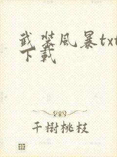 武装风暴txt下载