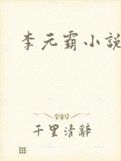 李元霸小说