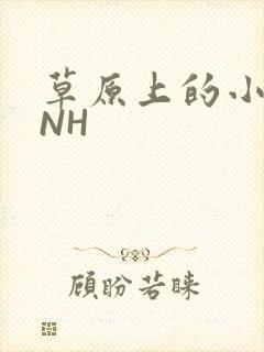 草原上的小公主NH