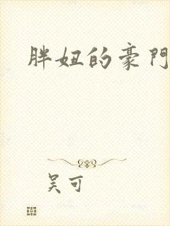 胖妞的豪门之旅