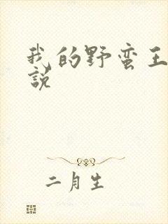 我的野蛮王妃小说