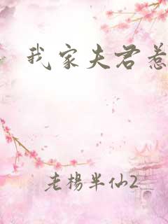 我家夫君惹不起