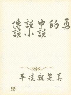 传说中的勇者传说小说