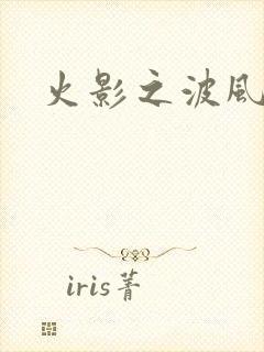 火影之波风神月