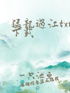 猛龙过江txt下载