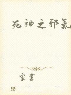 死神之邪气一护