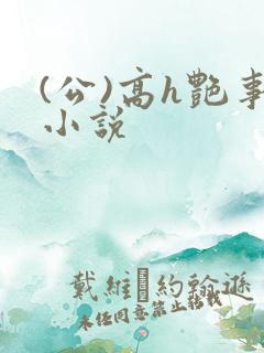 (公)高h艳事小说