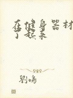 在健身器材上做了起来