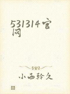 531314官网