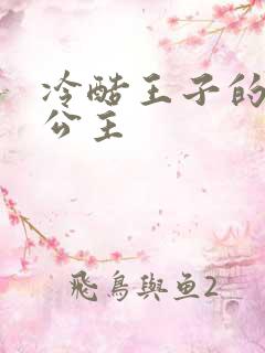 冷酷王子的淘气公主