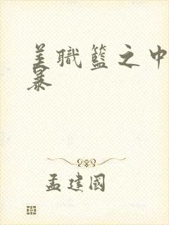 美职篮之中国风暴