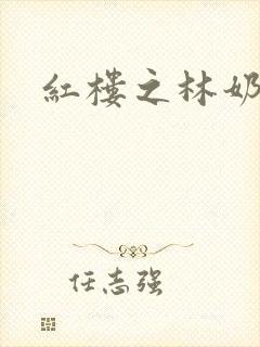 红楼之林奶奶
