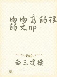 肉肉写的很细致的文np