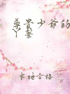 尊贵少爷的大牌丫鬟