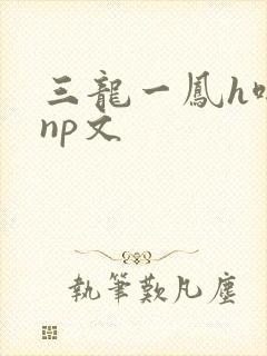 三龙一凤h啪肉np文
