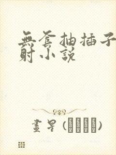 无套抽插子宫内射小说