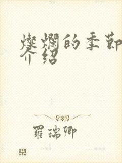 灿烂的季节剧情介绍