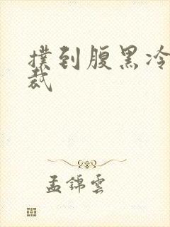 扑到腹黑冷面总裁