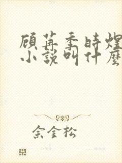 顾苒季时煜电竞小说叫什么名字