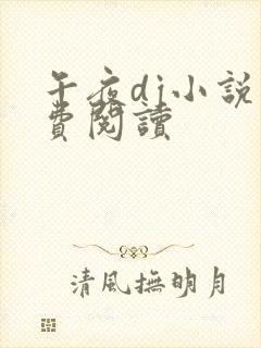 午夜dj小说免费阅读