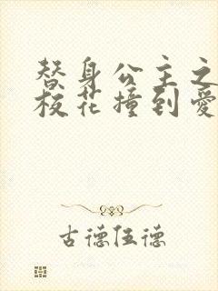 替身公主之杀手校花撞到爱