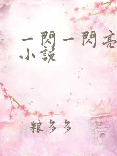 一闪一闪亮星星小说