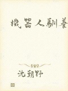 机器人驯养手札