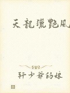 天龙猎艳风流