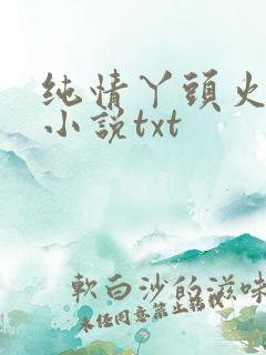 纯情丫头火辣辣小说txt
