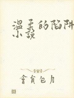 温柔的陷阱周芸小说