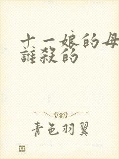 十一娘的母亲是谁杀的