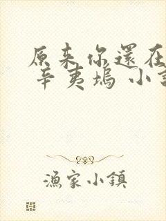 原来你还在这里 辛夷坞 小说