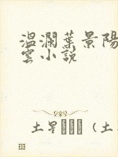 温澜叶景阳温云云小说