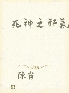 死神之邪气一护