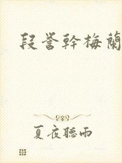 段誉干梅兰竹菊