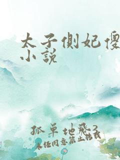 太子侧妃傻乎乎小说