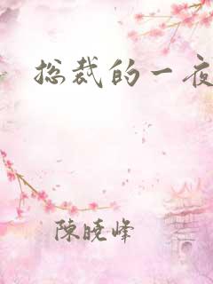 总裁的一夜情人