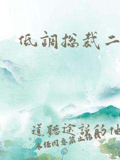 低调总裁二手妻