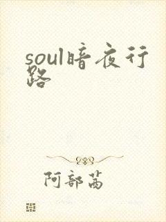 soul暗夜行路