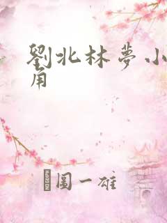 刘北林梦小说主角