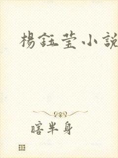 杨钰莹小说阅读