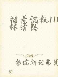 招惹沉执11H林清然