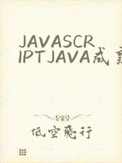 JAVASCRIPTJAVA成熟亲子