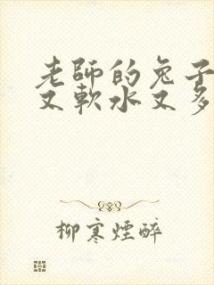 老师的兔子又大又软水又多