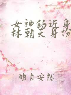 女神的近身护卫林朝天身份