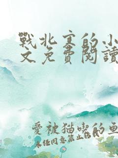 战北寒的小说全文免费阅读无弹窗