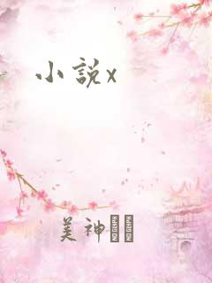 小说x