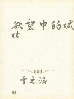 欲望中的城市txt