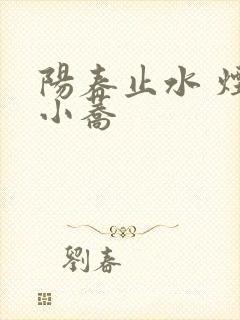 阳春止水 烟树小荞