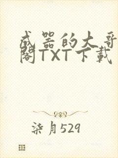 成器的大哥笔趣阁TXT下载